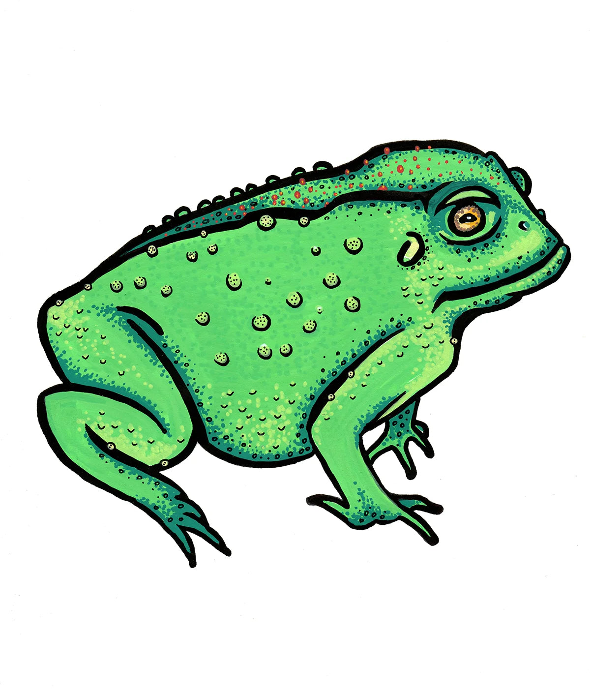Original hand-drawn acrylic on paper painting titled Toad No.5 by Yulia Shpak, featuring a vivid abstract representation of an American Southwest desert toad with exaggerated green contours, vibrant color patches, and detailed overlapping dot shading on a clean white background.